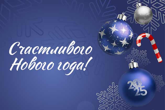 С Новым годом 2025! График работы в праздничные дни.
